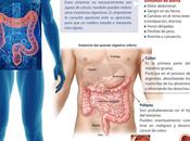 Como estar alerta frente cáncer colon