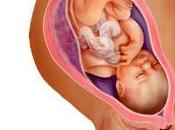 Peligros preeclampsia embarazo