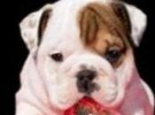 #love Happy Valentine's Thursday!!