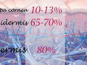 Multi Hidratante Clarins conserva piel joven llena luminosidad