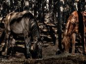 Caballos, Carrasco