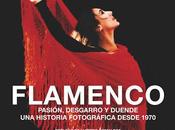 historia fotográfica flamenco
