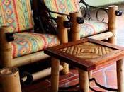 Bambú Venezuela muebles construcciones ecológicas