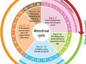síntomas respiratorios varían ciclo menstrual