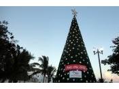 Navidades Riviera Maya