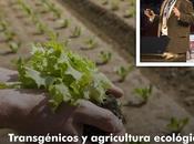 Agricultura Ecologica Transgénica Alicante