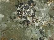 Paisaje mancha: Logia Nacional Francesa deja Confederación