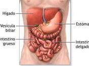 gran desconocida: enfermedad Crohn