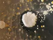 Bioarte creado bacteria encuentra smartphones