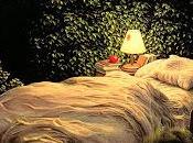 ¿Vamos cama!?