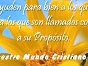gracias todo
