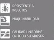 Madera Accoya Hi-Tech, construcciones exterior¿una tarima, puente?