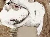 auténtico cine español gustaría