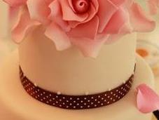 placer aprender Cakes Haute Coture