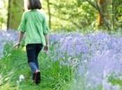 ¡¡Llega primavera!! ¿Dónde vamos?