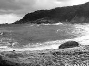 Miércoles sensaciones