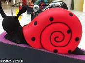 CaraKollection (3).