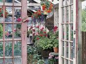 Greenhouse garden