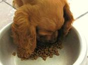 Comida casera puede provocar gastritis