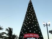 Navidades Riviera Maya