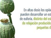 Transtornos relacionados opiacios