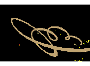 Cocktail Noticiero Viernes