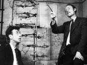 Crick, Watson