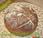 Mischbrot (Pan alemán centeno)
