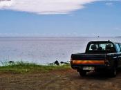 Hasta aquí hemos llegado