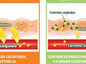 Flora Proactiv