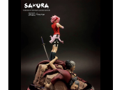 Sakura Haruno Naruto Shippuden