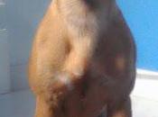 Cleo, nuevo nosotros.