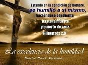 excelencia humildad