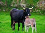 “Aquí empieza cosa inmensa indestructible llamamos España”