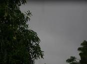 Esta lluvia abril, mayor bendición para Suroeste