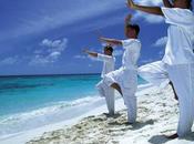 cuestión disciplina