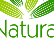 Nace NaturalChi.es Nuevo portal complementos nutricionales