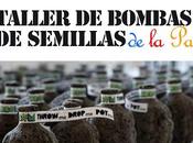 Semillas propósitos....