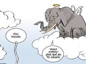 maldición elefante