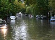 Ayudemos Plata gente