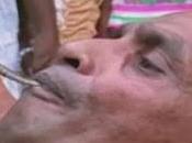 VIDEO Mire como este hombre come serpientes.