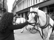 paseo Sevilla Walking around
