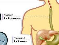 Mejorando digestión