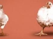 viste semana pasado/CXXX