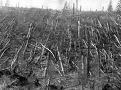 caso Tunguska