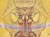 Devendra Banhart What will