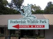 Visitando Sydney: Parque Featherdale