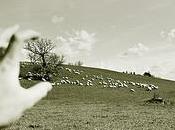 Cristalino artificial para visión alta definición