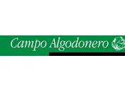 Cumplimiento sentencia Campo Algodonero