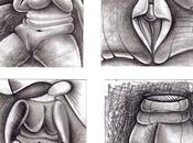 Carnes imploran aceptacion comprension